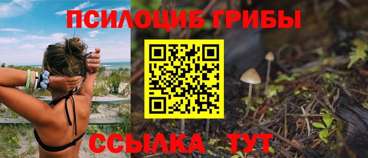 Псилоцибиновые грибы Cubensis Ишимбай