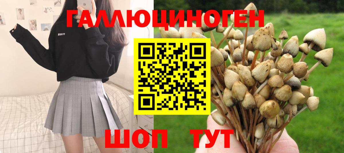 Псилоцибиновые грибы прущие грибы  Вход с VPN  Ишимбай 